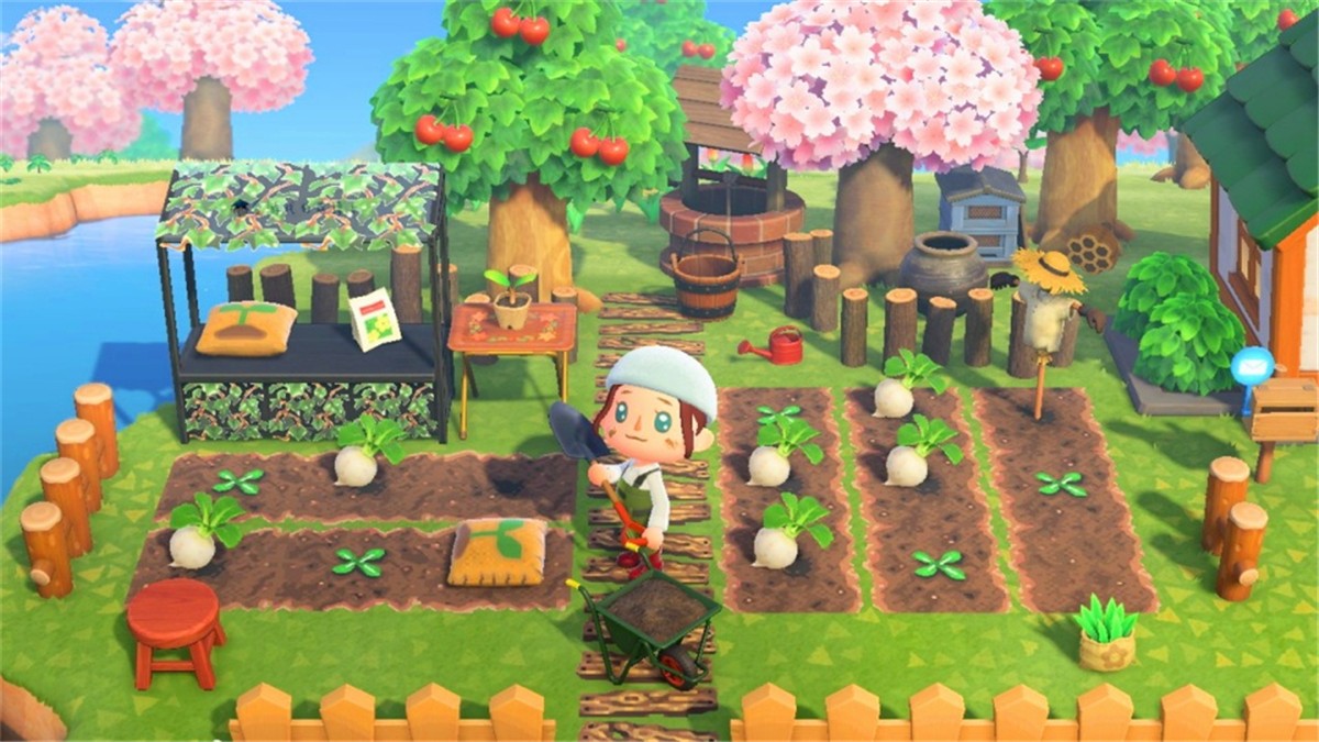 动物森友会安卓版(3)