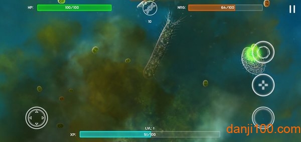 孢子的起源 孢子的起源