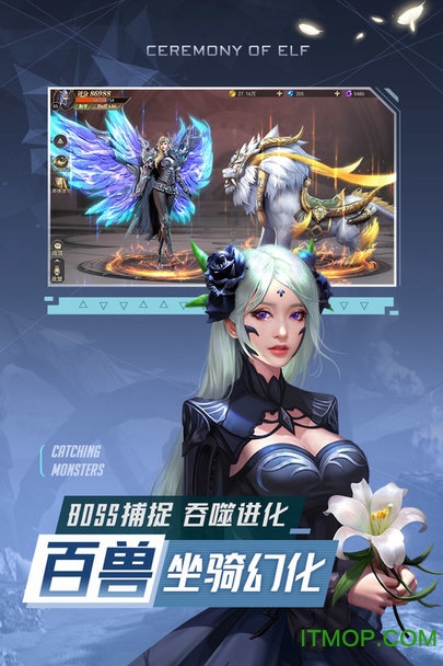 精灵盛典：黎明(4)