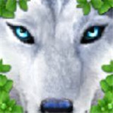 UltimateWolf(终极野狼模拟器中文版)