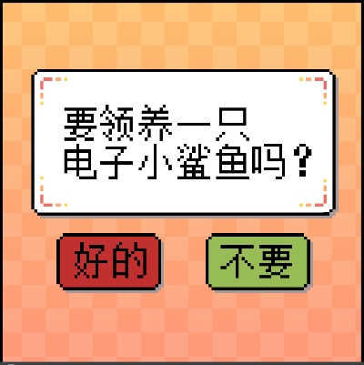 我的小鲨鱼 我的小鲨鱼