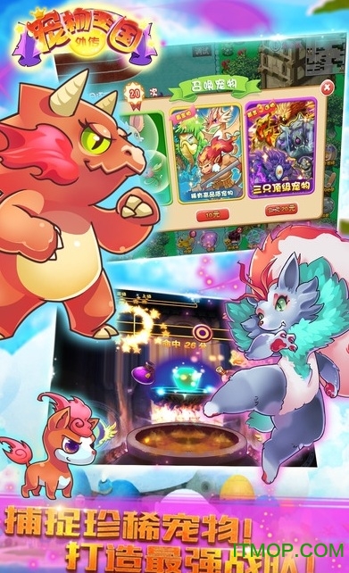 宠物王国外传(1)