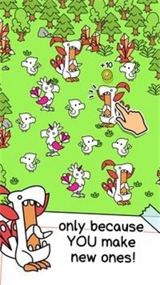 凤凰进化Phoenix Evo 凤凰进化Phoenix Evo