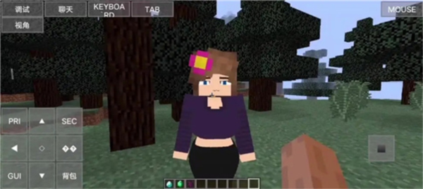 我的世界珍妮冒险