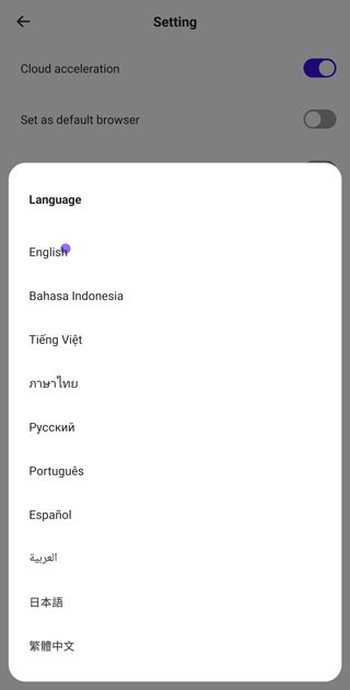 夸克浏览器(海外版)