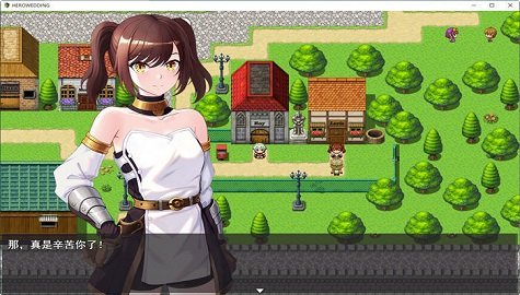 勇者罗伊的婚礼冷狐版(2)