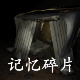 孙美琪疑案:记忆碎片