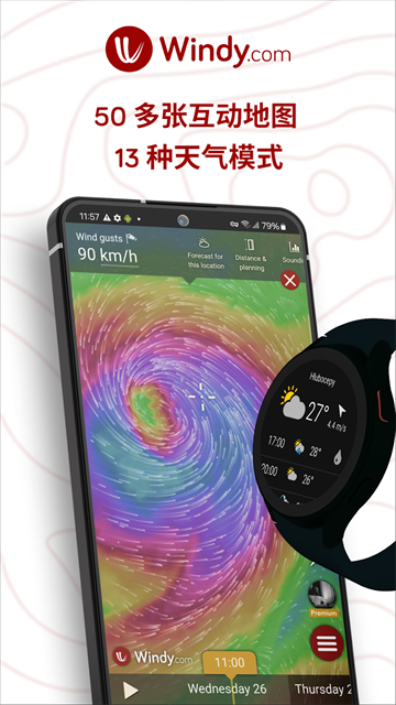 全球风向监测(Windyty)(2)