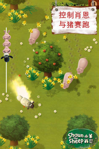小羊肖恩游戏(2)