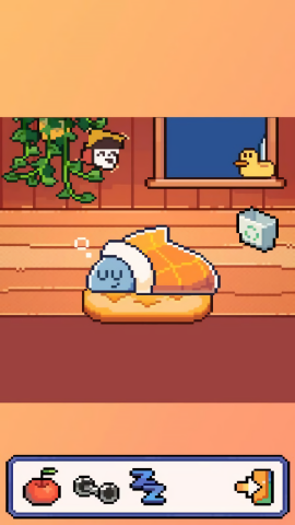 我的小鲨鱼安装(1)