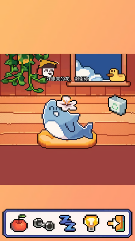 我的小鲨鱼安装(2)