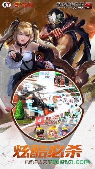 生死格斗5无限(4)