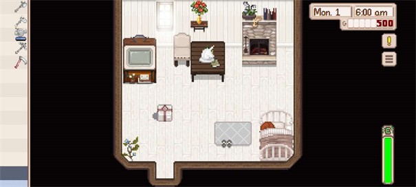 星露谷物语枫姨美化版无限金币(1)