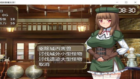 和高冷女仆的甜蜜生活游戏(2)