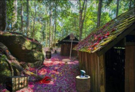 Mystery Forest House Escape(1)