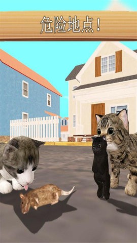 小猫咪模拟器(3)