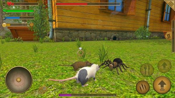 老鼠生存模拟器(1)