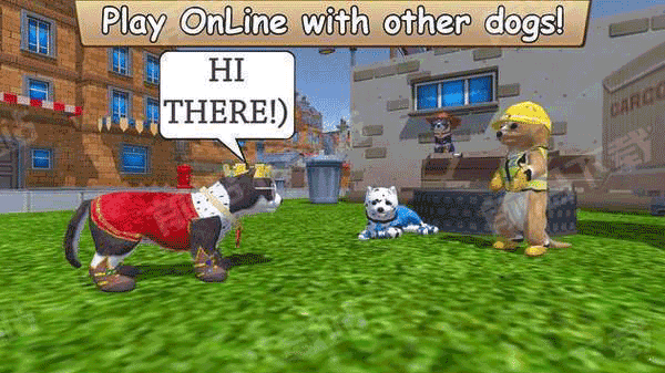 牧场Zoom与动物Zoom2025(3)