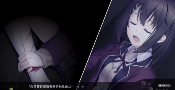 我和她的世界末日手机版中文版(3)