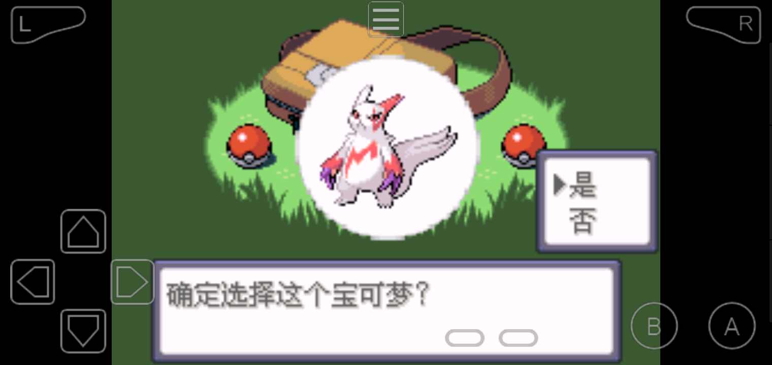 口袋妖怪绿宝石随机版(1)