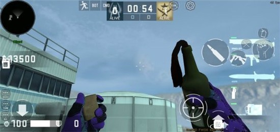 csgo单机版(Strike Port)(3)