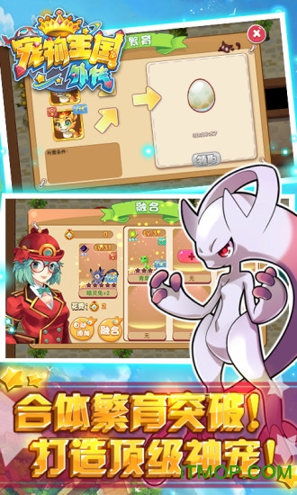 宠物王国4白金内购版(1)