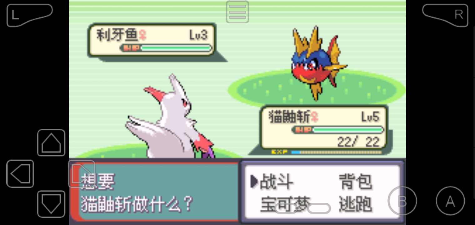 口袋妖怪绿宝石随机版(2)