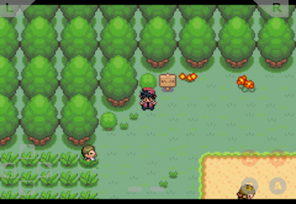 口袋妖怪单机版破解版(2)