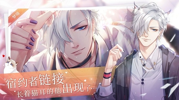 猫之宿约者(3)