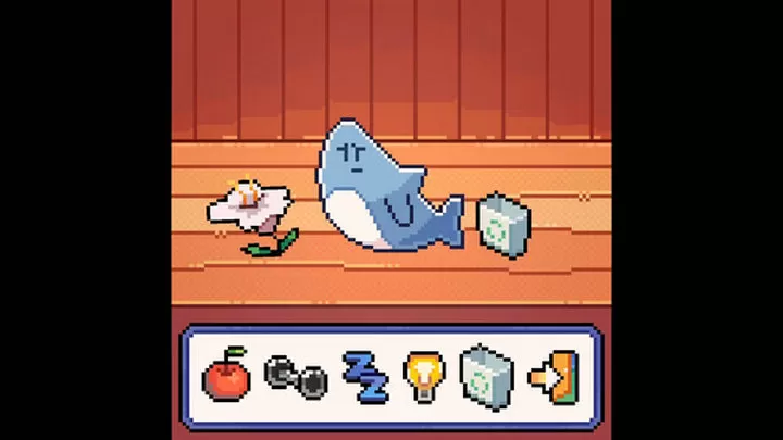 我的小鲨鱼手机版(3)