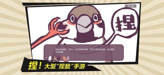 文鸟恋爱物语(2)