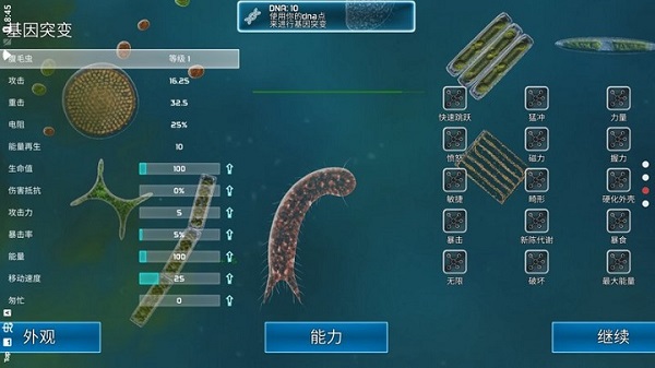 孢子的起源 孢子的起源