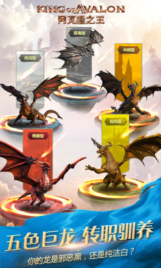 阿瓦隆之王 阿瓦隆之王