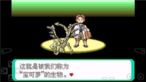 口袋妖怪漆黑的魅影5.0EX+BW内置金手指版 口袋妖怪漆黑的魅影5.0EX+BW内置金手指版