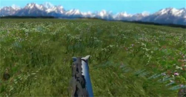 今天你骑马了吗(1)