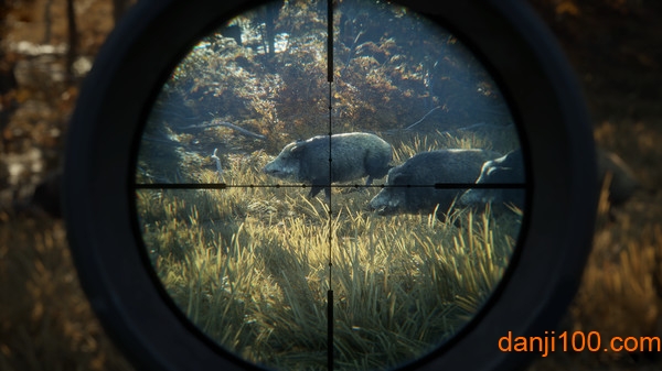 猎人：荒野的召唤(2)