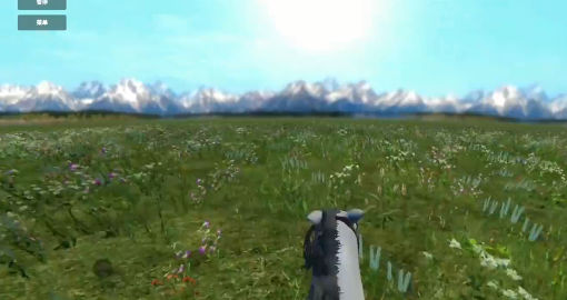 今天你骑马了吗(3)