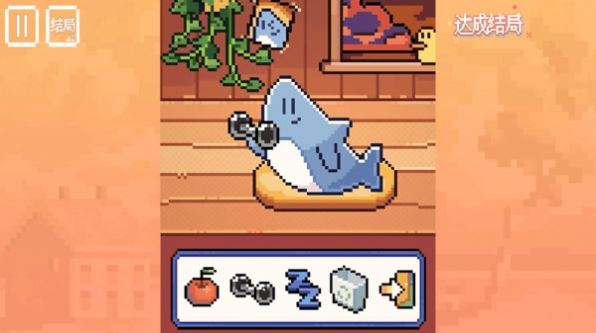 我的小鲨鱼 我的小鲨鱼