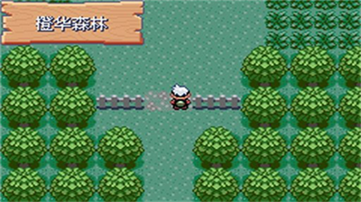 究极绿宝石5.5内置修改器 究极绿宝石5.5内置修改器