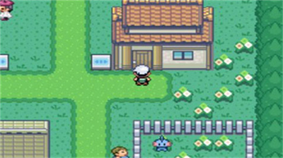 究极绿宝石5.5内置修改器(2)