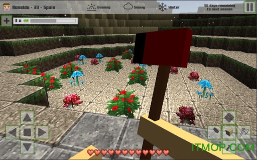 我的方块世界(1)