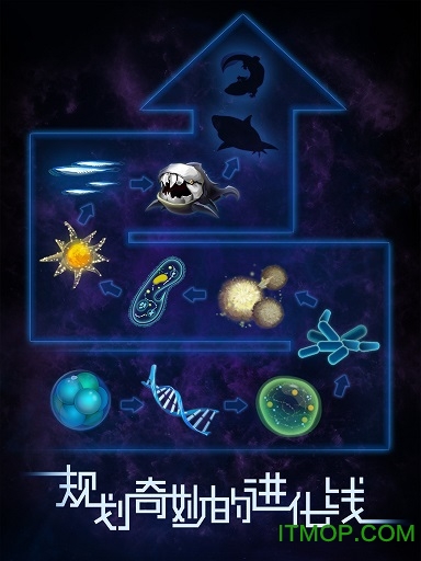 九游游戏物种起源(4)