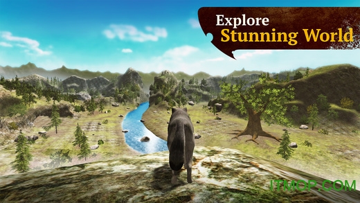 狼族无限金币钻石破解版(The Wolf: Online RPG Simulator)(3)