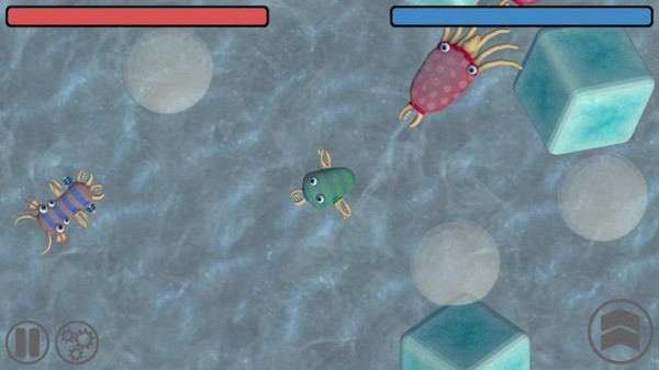 物种进化起源(2)