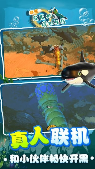 极速皮皮虾生存模拟(3)