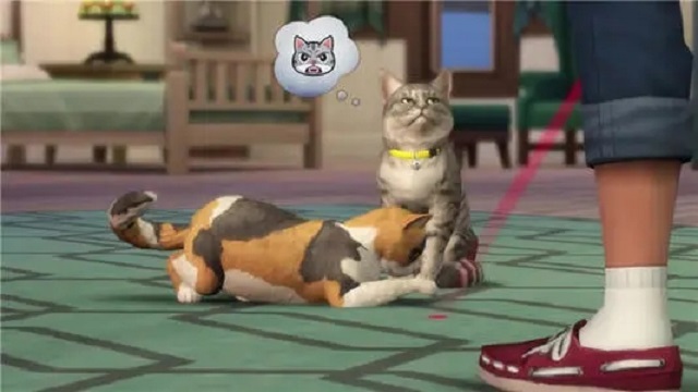 猫狗拆家派对(2)