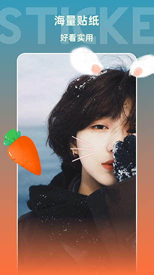 图像编辑软件中文版(3)