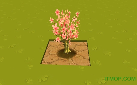 迷你世界国际服沙漠版本(4)