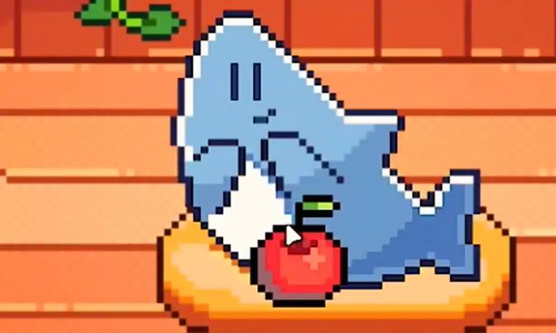 我的小鲨鱼 我的小鲨鱼