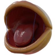 吃豆人RTX手机版
